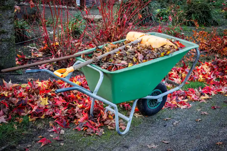 Understanding Yard Waste Collection Rules And Restrictions Cincinnati, OH Understanding Yard Waste Collection Rules And Restrictions Cincinnati, OH